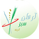 طراحی سایت آرمان سبز آدرینه