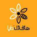 طراحی سایت هانی ژل