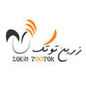 طراحی سایت نغمه تورنگ طلایی