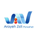 طراحی سایت آرایه زیستی