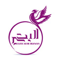 طراحی سایت آژانس الیت سیر