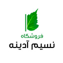 طراحی سایت نسیم ادینه