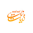 طراحی سایت نیت نات