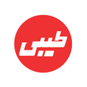 بهینه سازی سایت طیبی