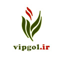 طراحی گرافیک گل فروشی